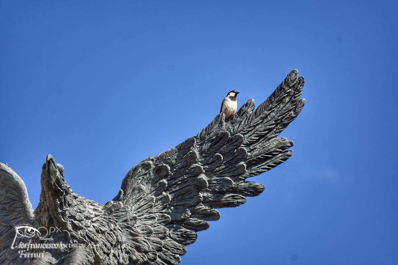 Nikon D7200 sample photo. Stamattina sul monumento dei photography