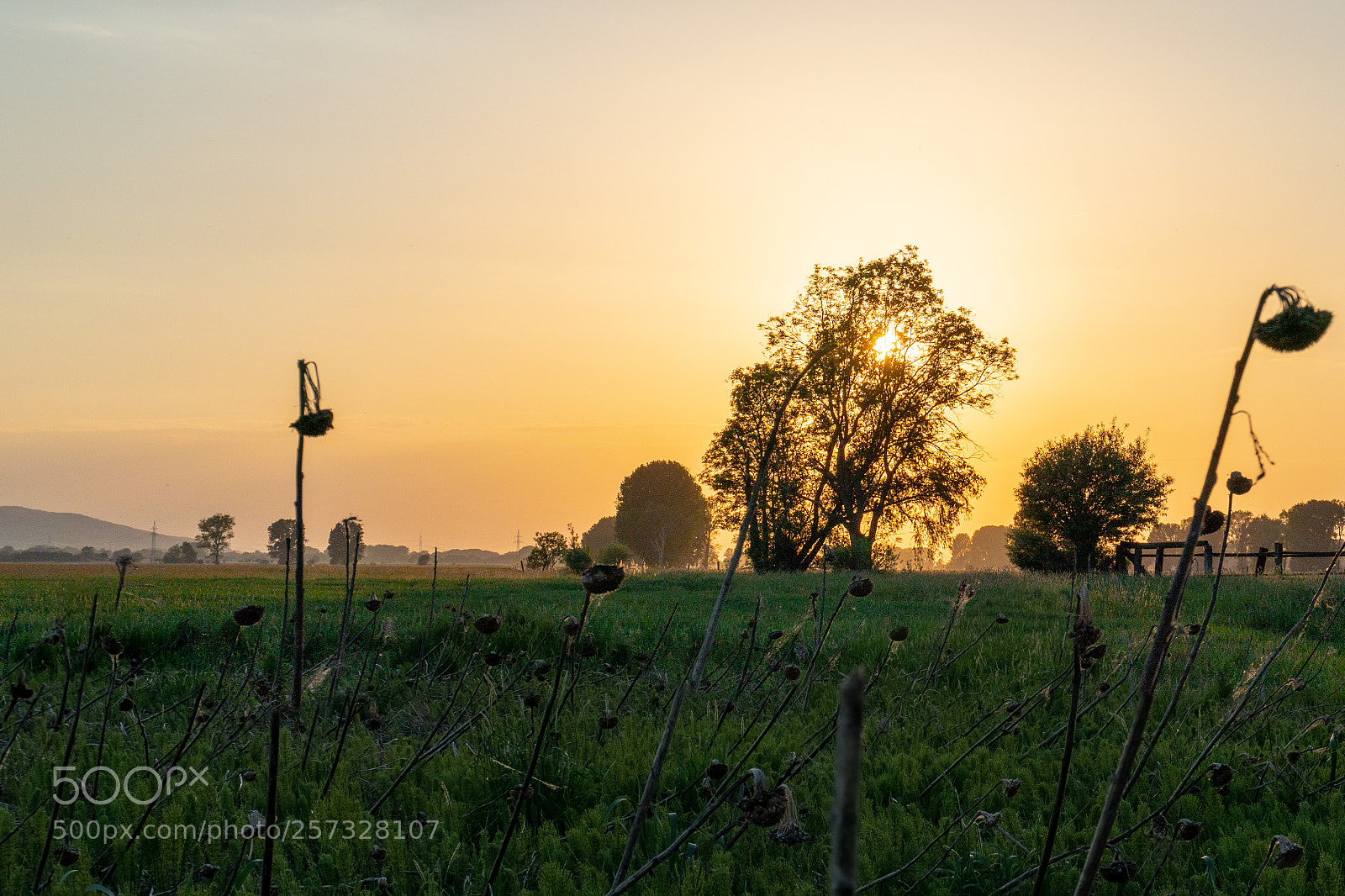 Sony a6300 sample photo. Mindener bastauwiesen photography