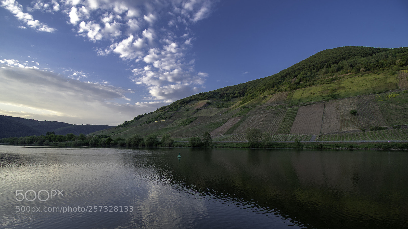Nikon D500 sample photo. Moezel germany (mesennich) photography