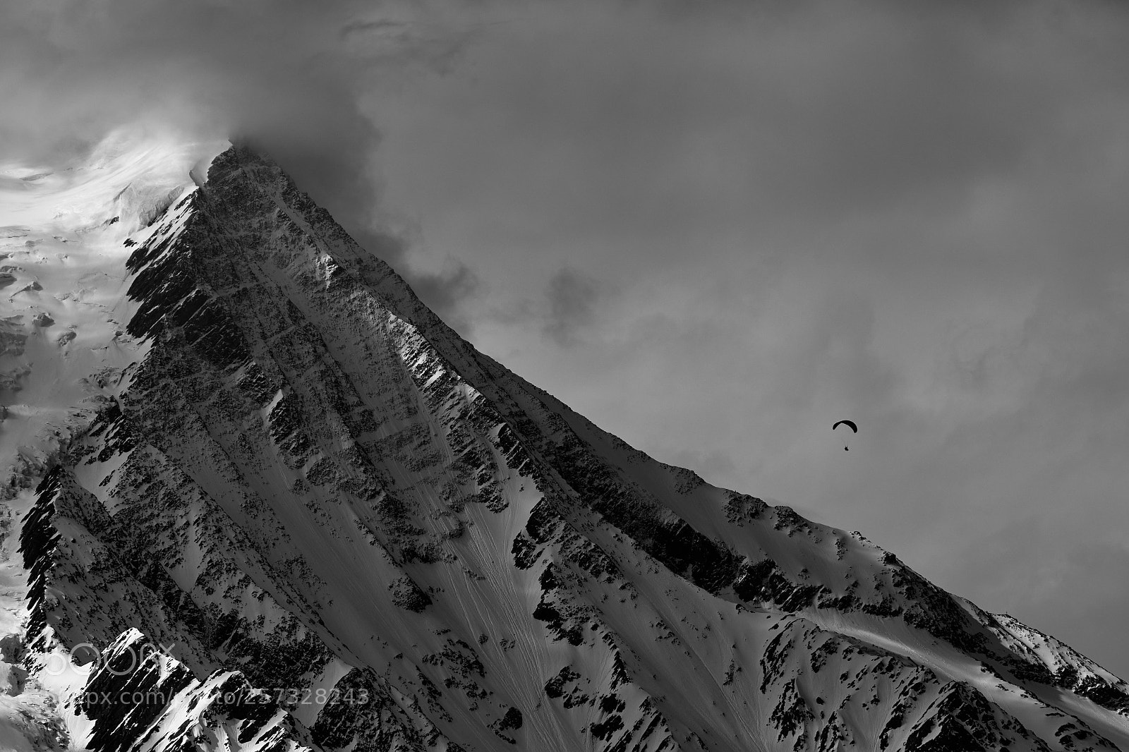 Fujifilm X-T1 sample photo. Summit bird photography