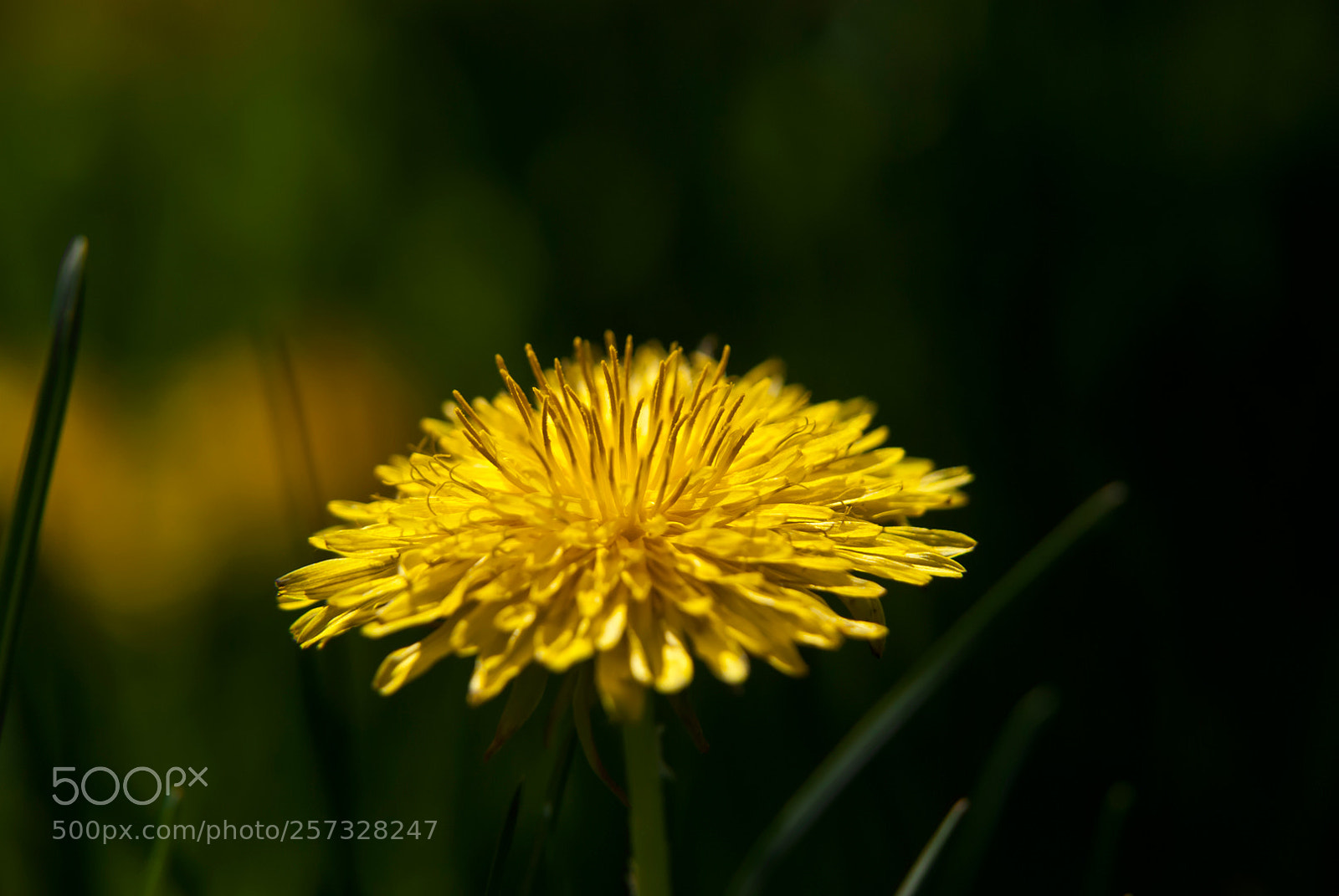 Nikon D80 sample photo. Untitled photography