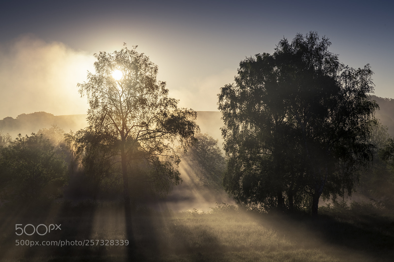 Canon EOS 6D sample photo. Morning light show photography