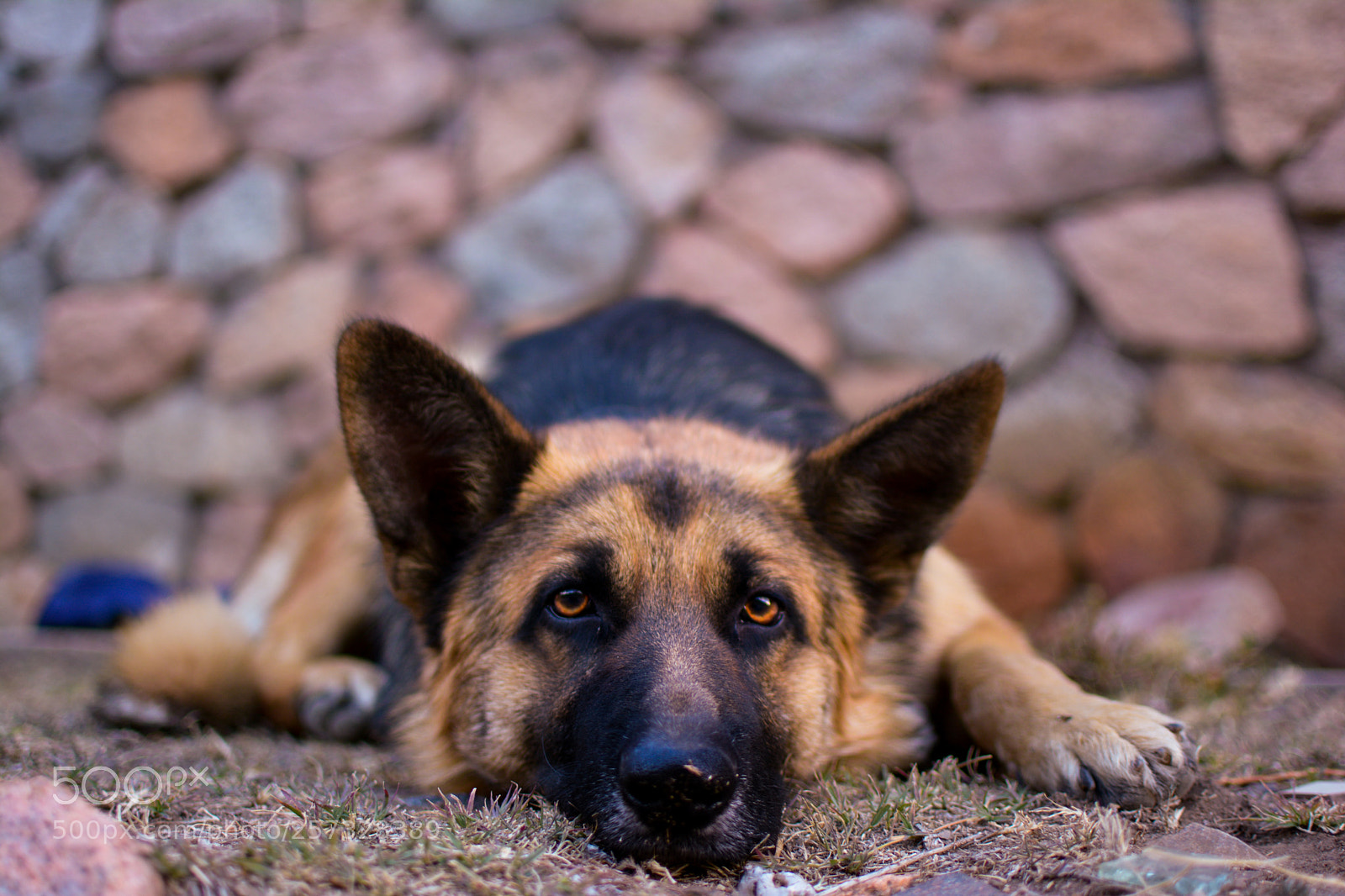 Nikon D7100 sample photo. Untitled photography