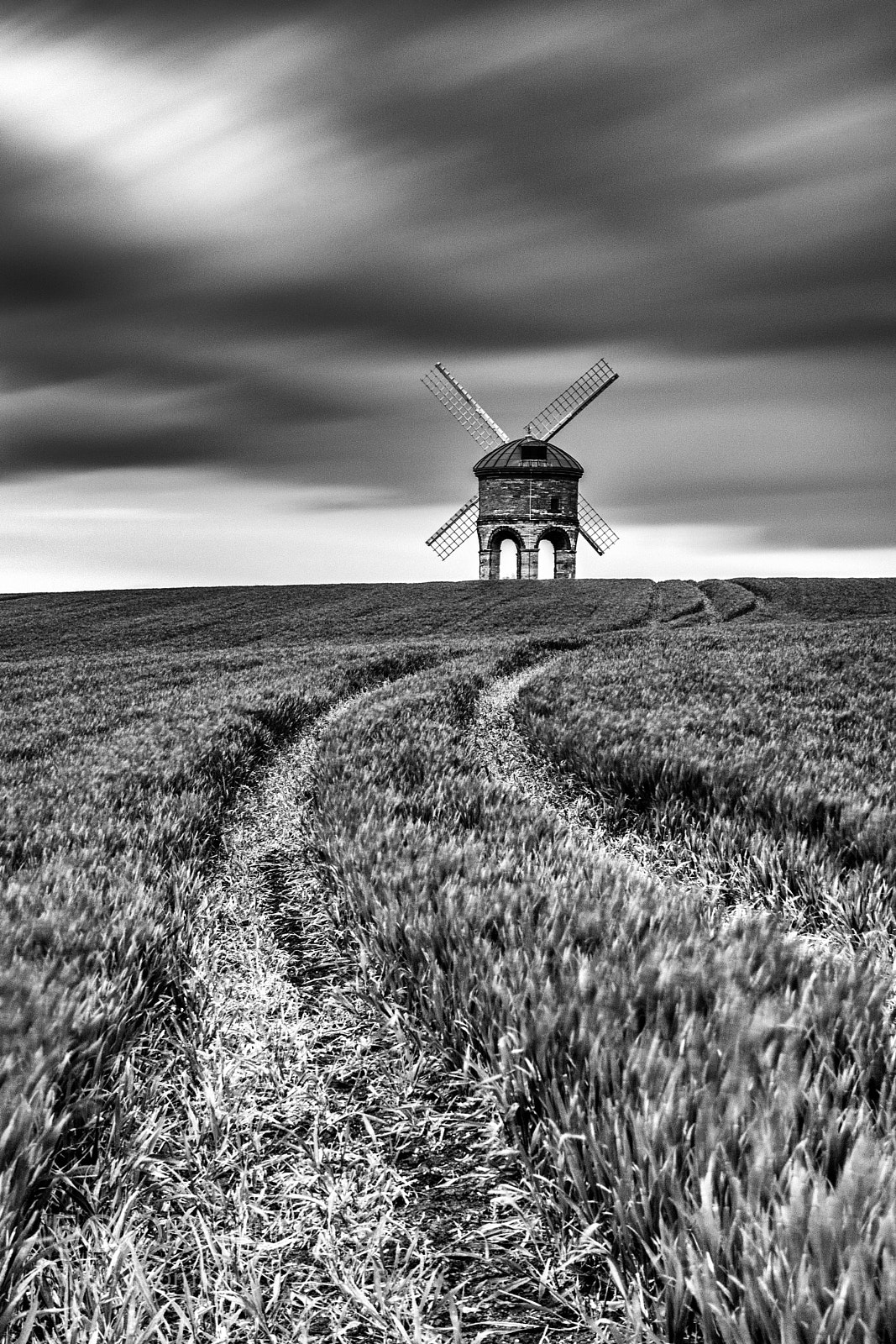 Nikon D7100 sample photo. Windy day b&w photography