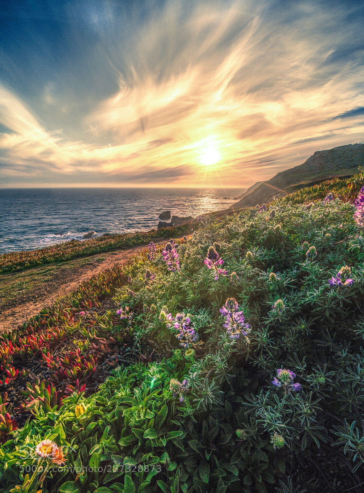 Nikon D850 sample photo. Marin headlands photography