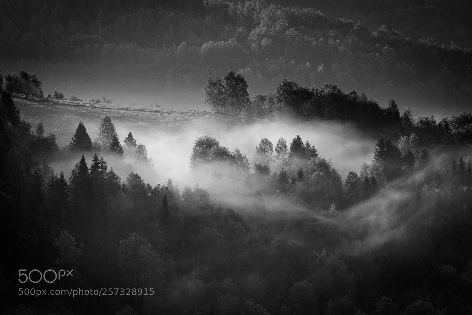Canon EOS 77D (EOS 9000D / EOS 770D) sample photo. Misty morning photography