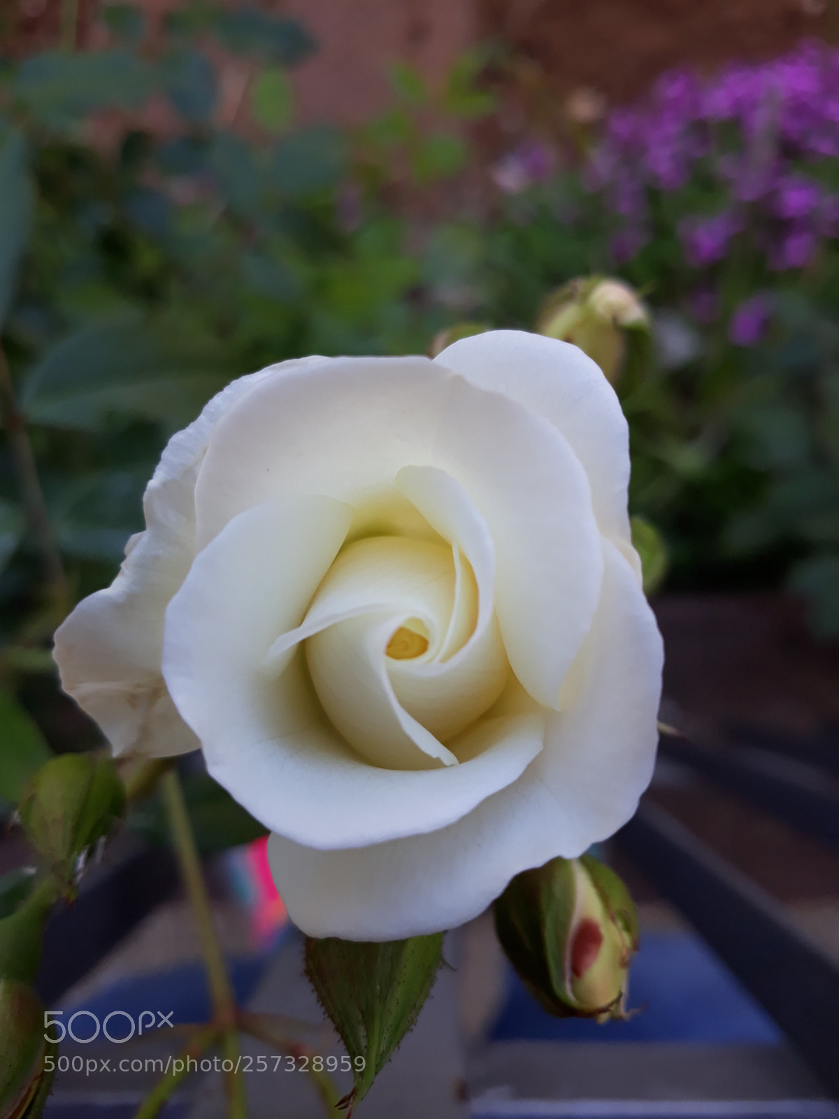Samsung Galaxy J7 sample photo. Untitled photography