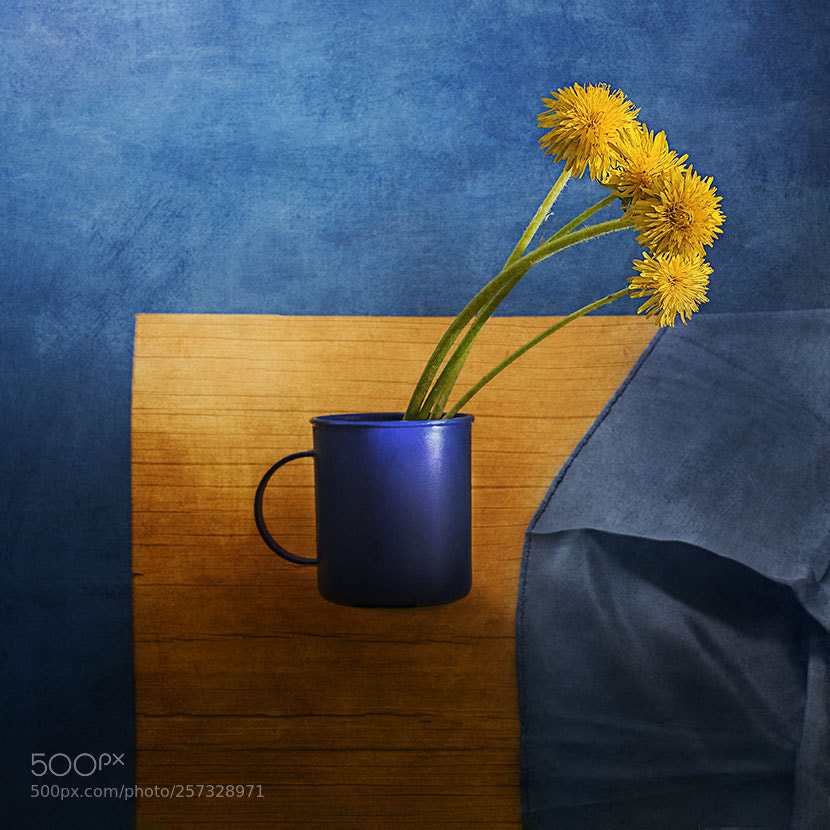 Canon EOS 5D Mark II sample photo. With a blue mug photography