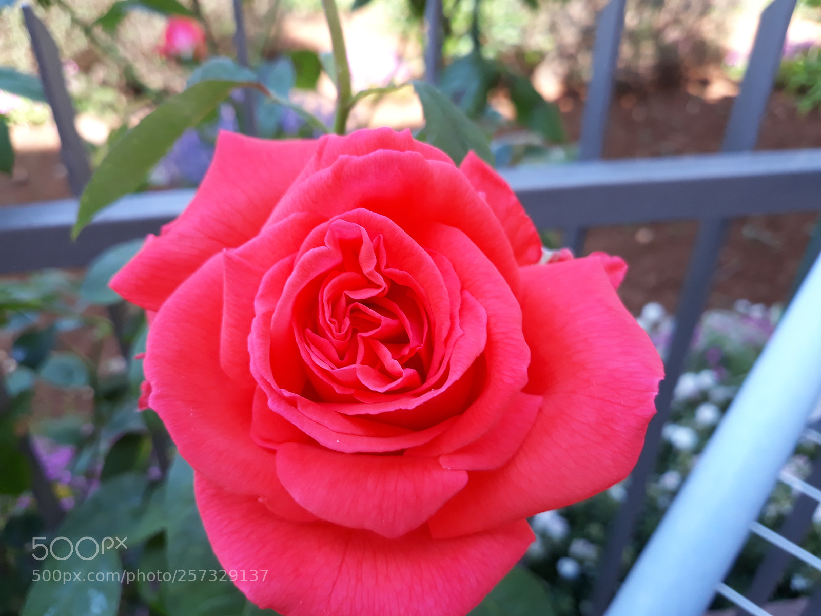 Samsung Galaxy J7 sample photo. Untitled photography