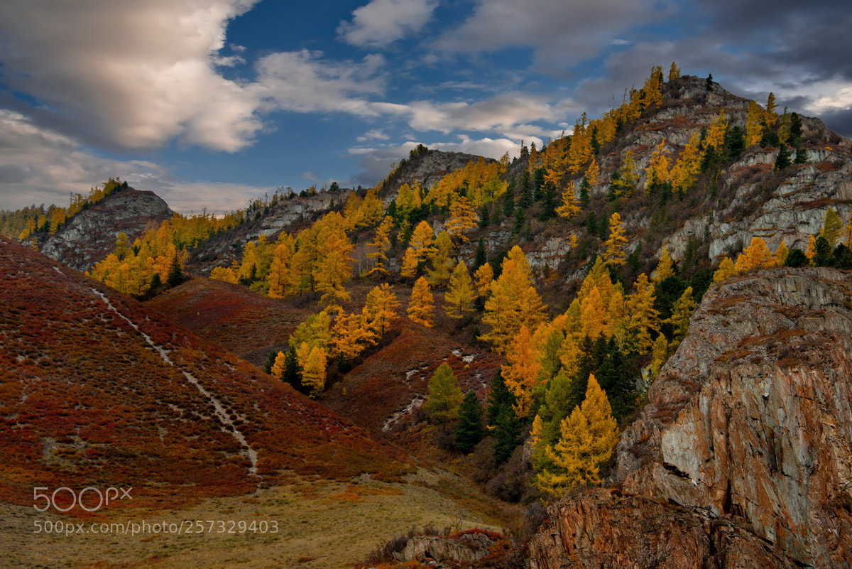 Nikon D750 sample photo. Russia. the beauty of photography