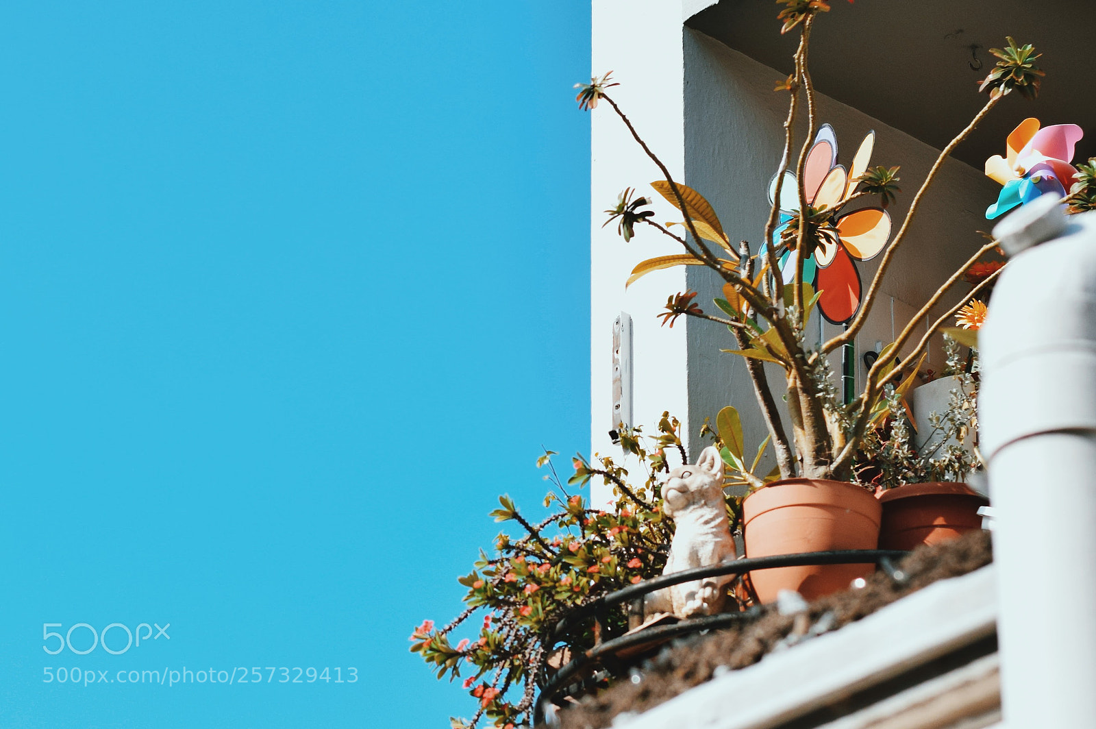 Nikon D3300 sample photo. Processed with vsco with photography
