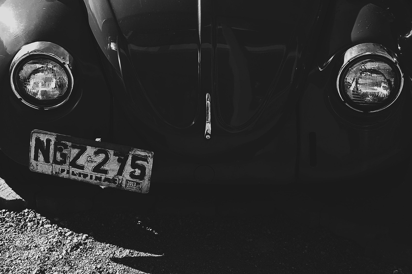 Samsung GALAXY S6 edge sample photo. Beetle photography