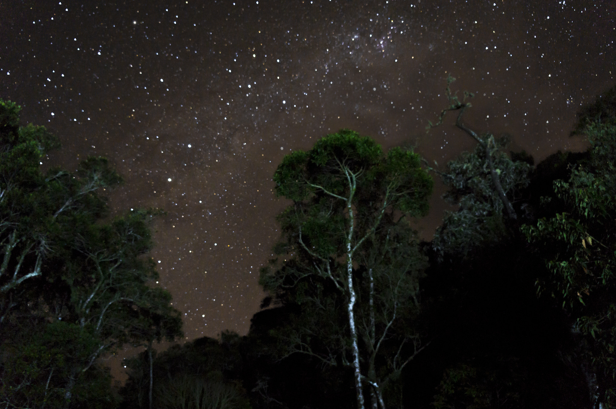 Sony Alpha a3500 sample photo. Ground control to major tom 🔭 photography