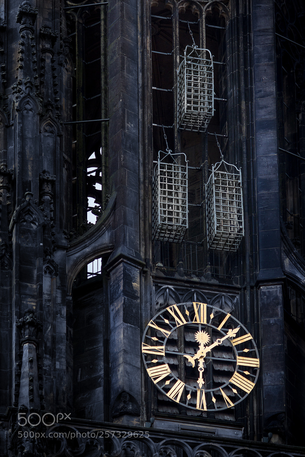 Canon EOS 650D (EOS Rebel T4i / EOS Kiss X6i) sample photo. Anabaptist-cage wiedert uferk fige photography