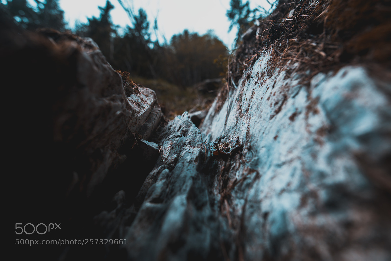 Nikon D600 sample photo. Crevasse photography