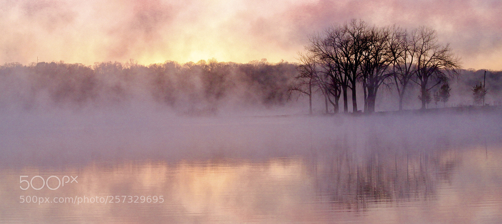Canon EOS 50D sample photo. Morning  fog photography