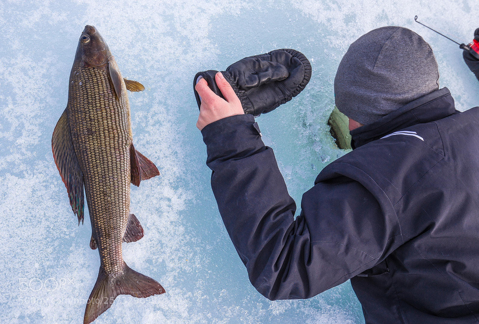 Canon EOS 6D sample photo. Grayling fishing in lapland photography