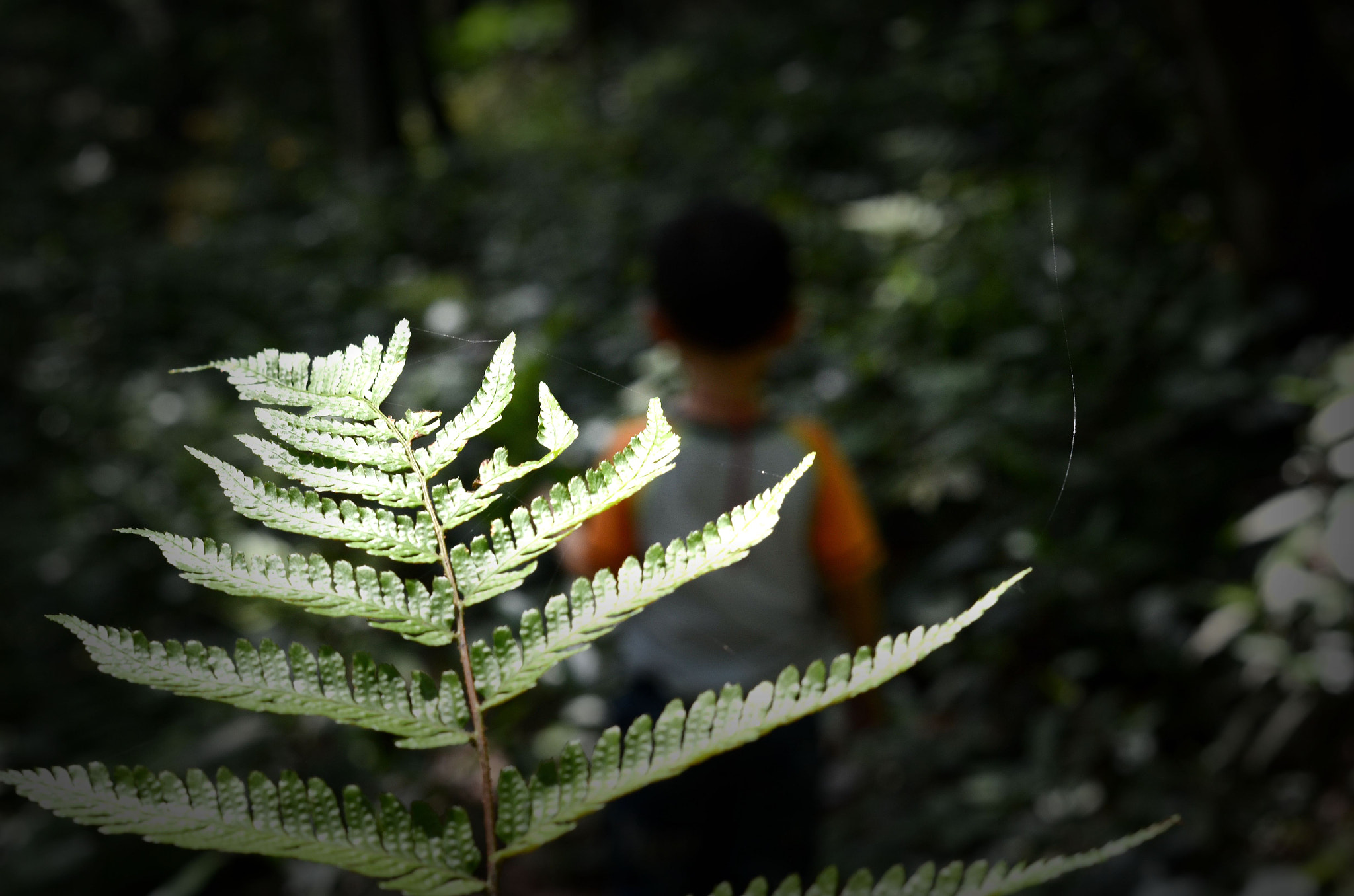 Nikon D7000 + Nikon AF-S Nikkor 50mm F1.4G sample photo. 丝 photography