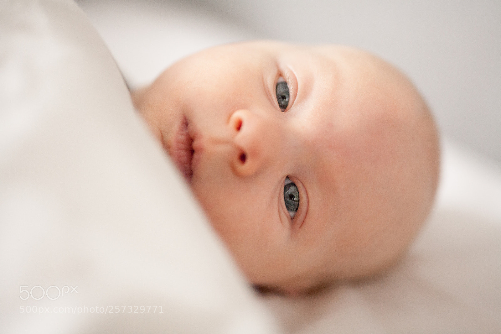 Canon EOS 5D sample photo. Untitled photography