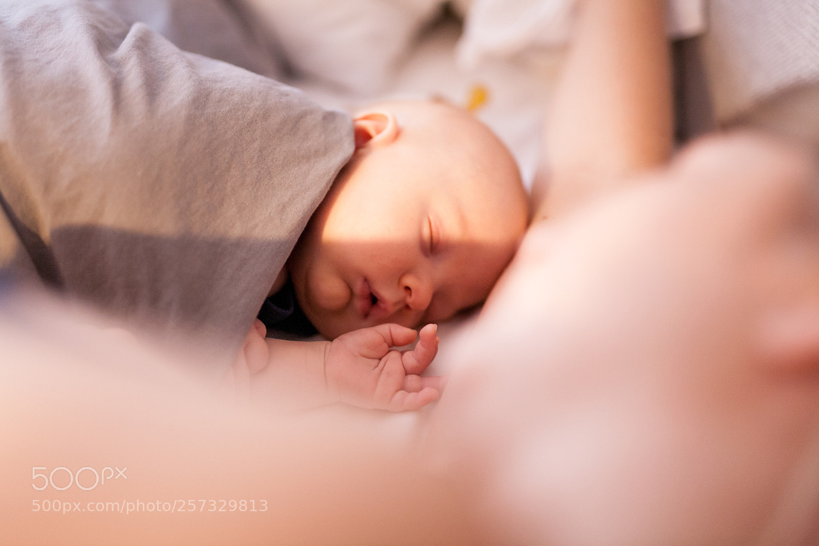 Canon EOS 5D sample photo. Untitled photography
