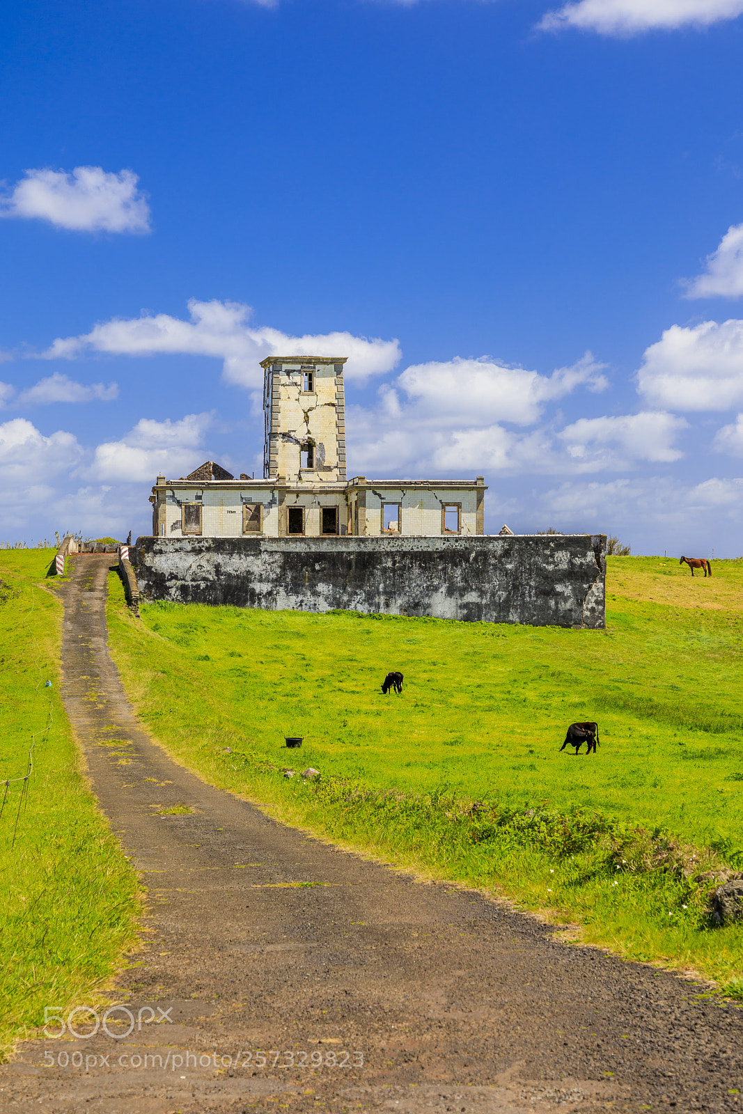 Canon EOS 5D Mark IV sample photo. Açores-faial-ribeirinha lighthouse photography