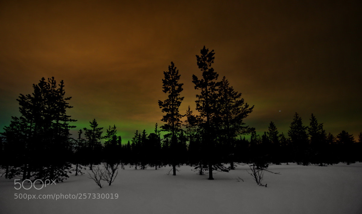 Nikon D750 sample photo. Russia. the western arctic.the photography