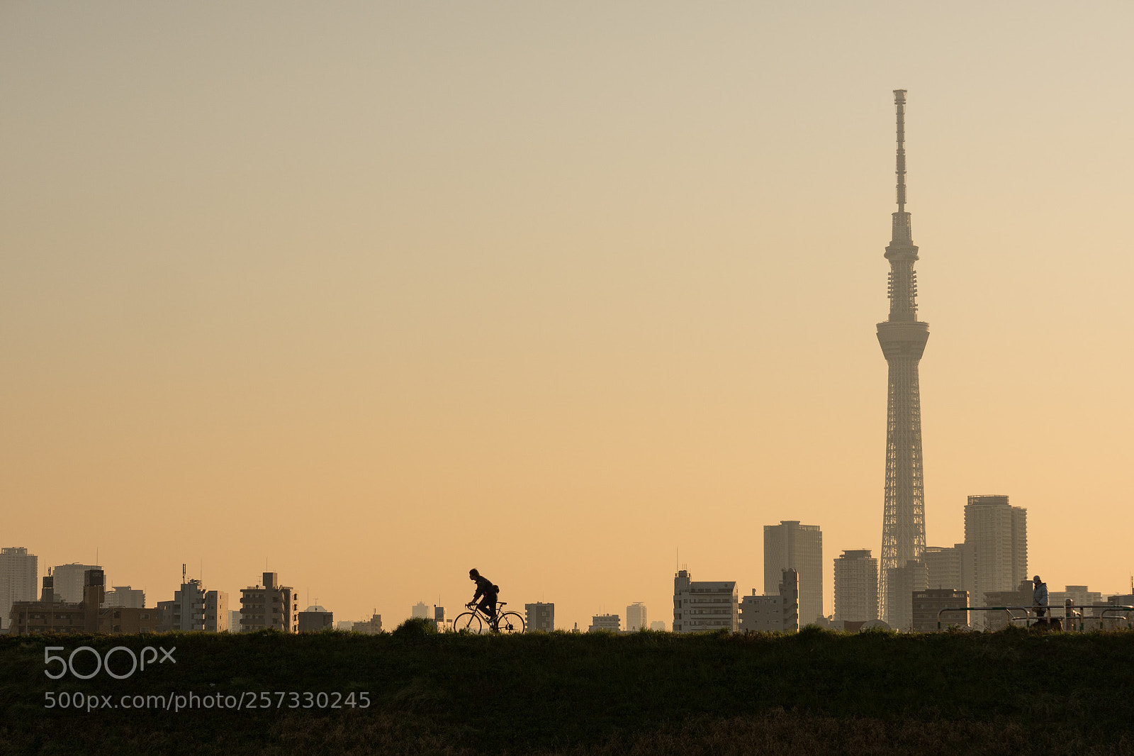 Olympus PEN-F sample photo. Skytree｜東京晴空塔 photography