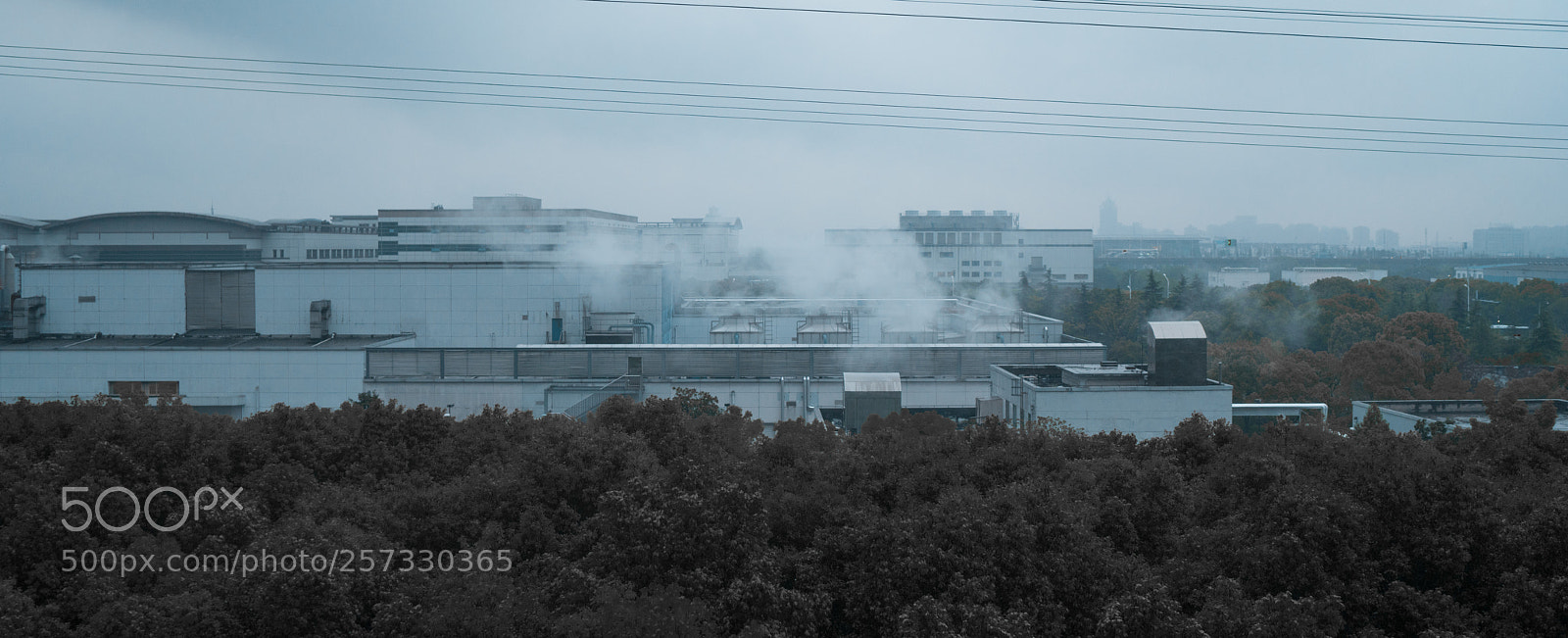 Sony a7R III sample photo. Untitled photography
