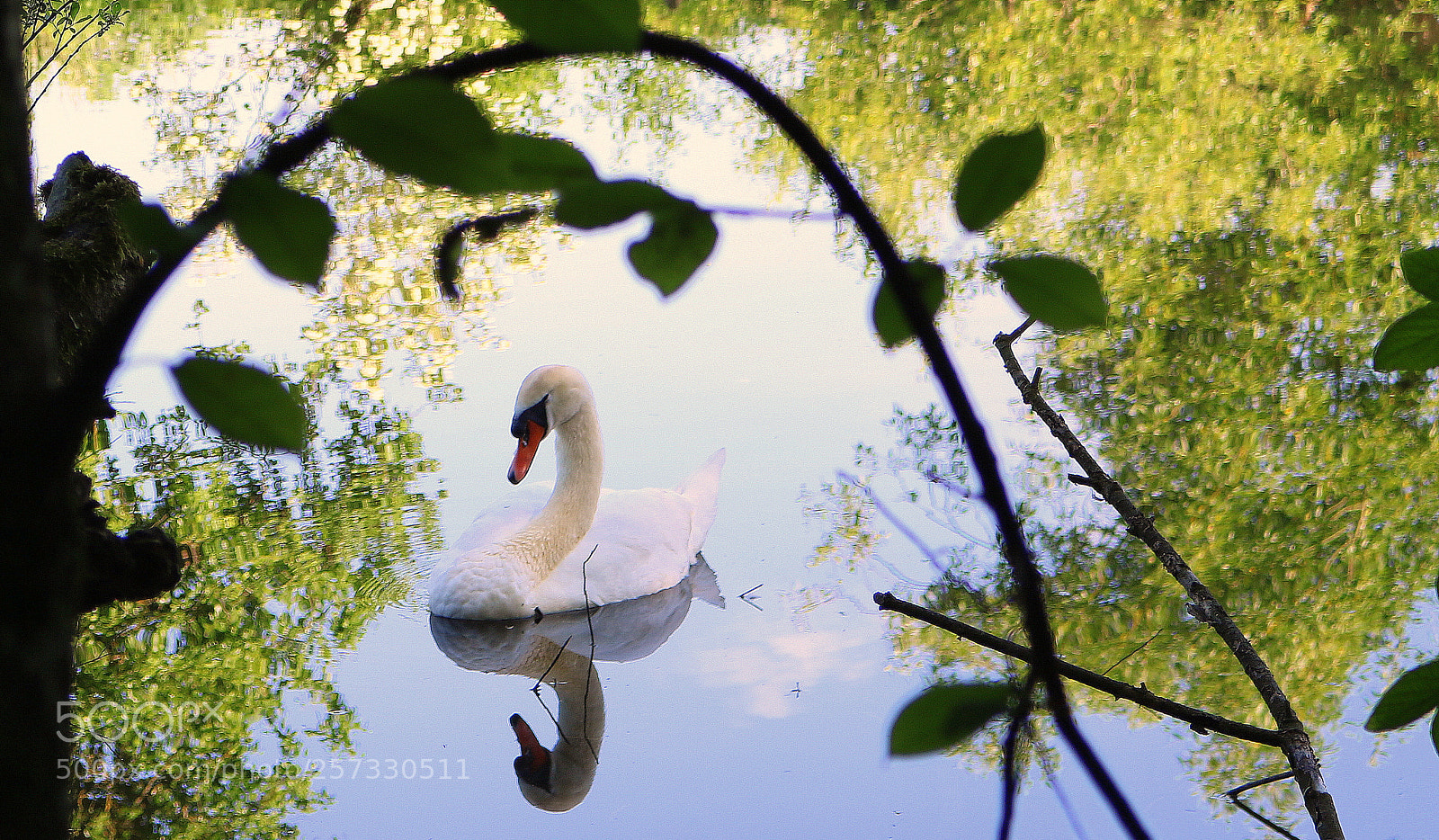 Canon EOS 750D (EOS Rebel T6i / EOS Kiss X8i) sample photo. "im bilderrahmen der natur" photography