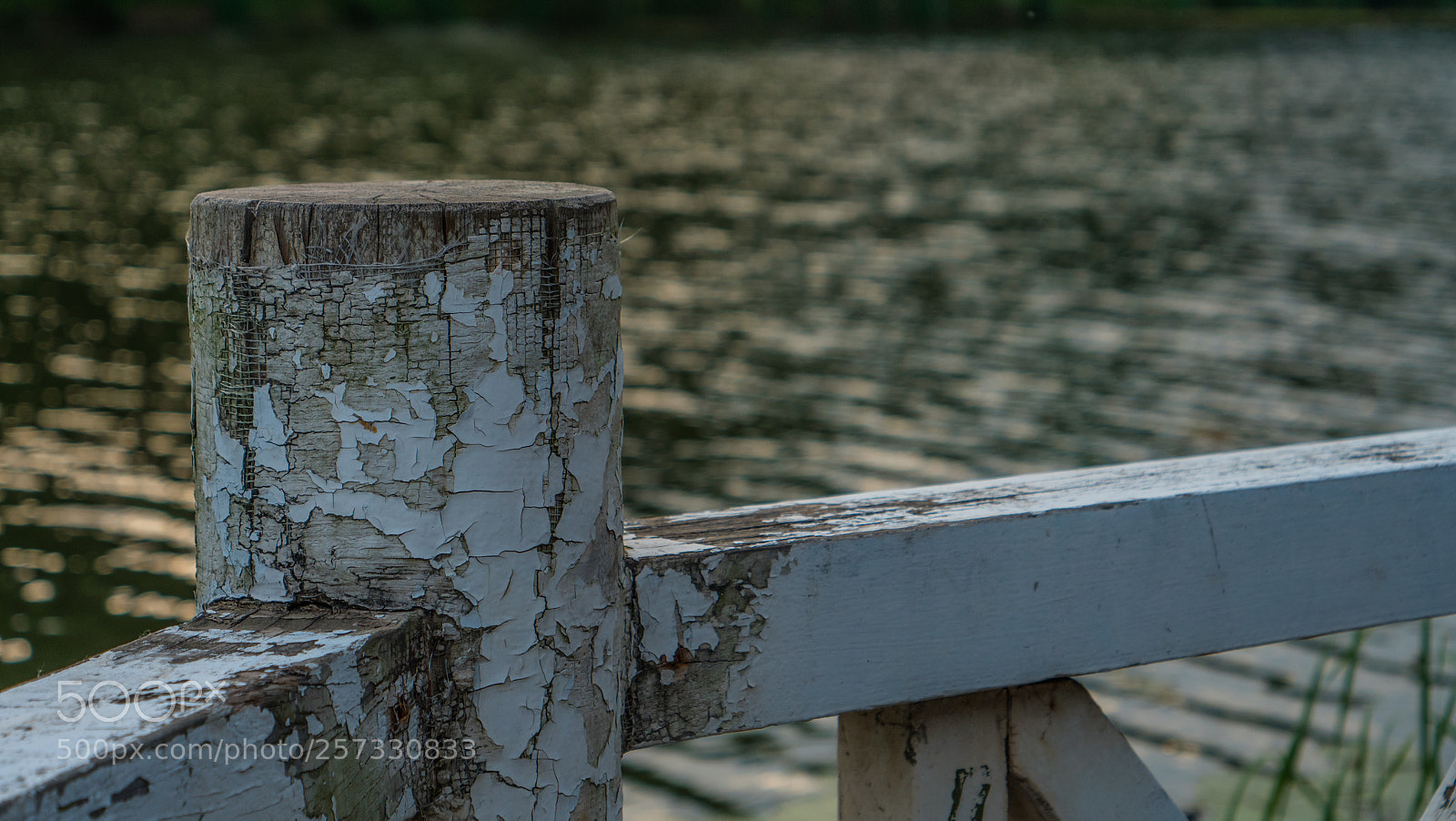 Panasonic Lumix DC-GH5 sample photo. Untitled photography