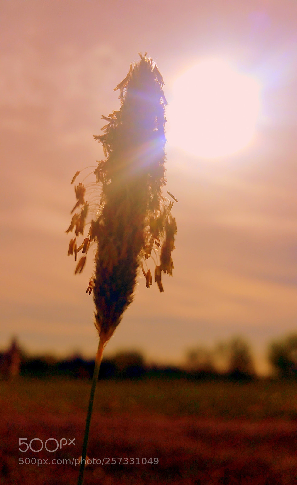 Samsung Galaxy Note4 sample photo. Warming up photography