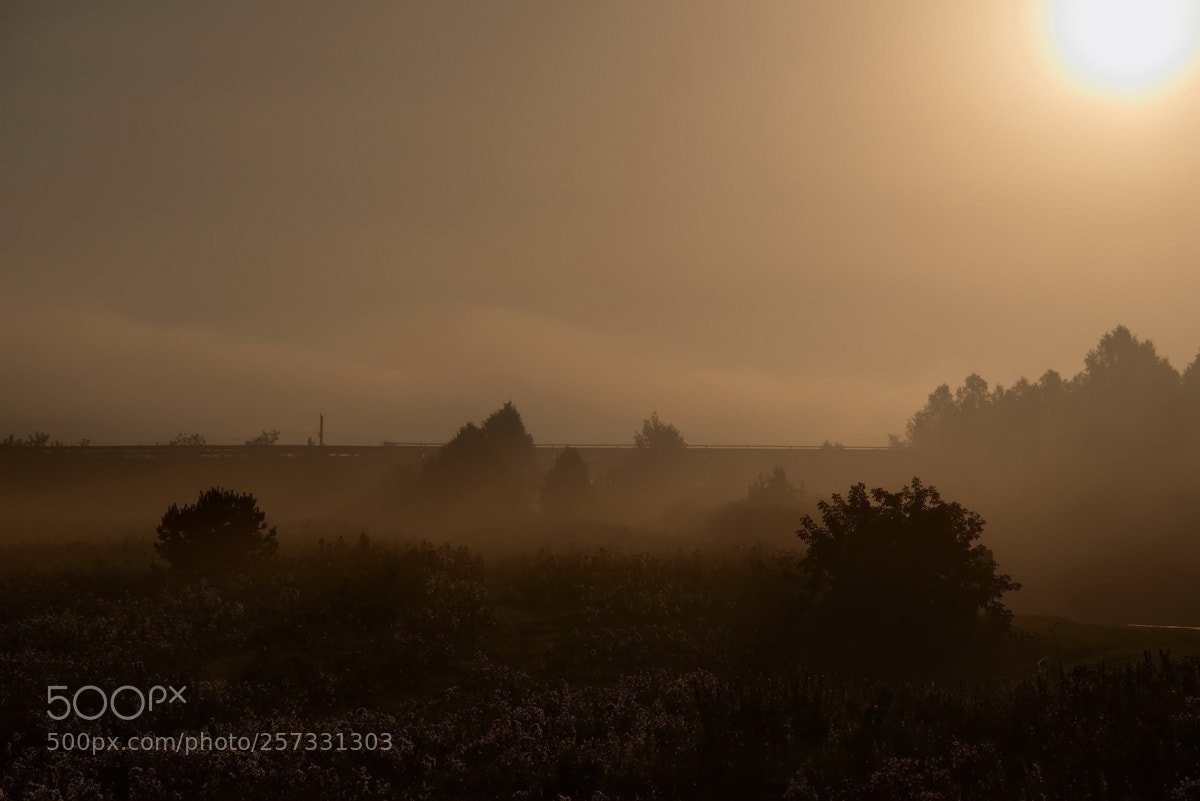 Nikon D750 sample photo. Russia. the south of photography