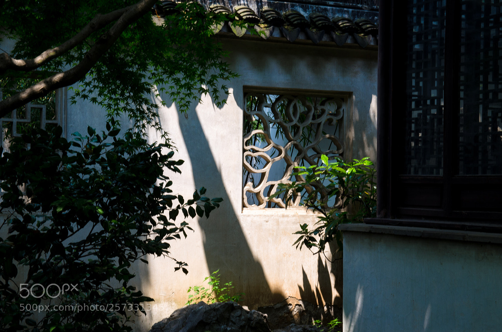 Nikon D5100 sample photo. Light photography