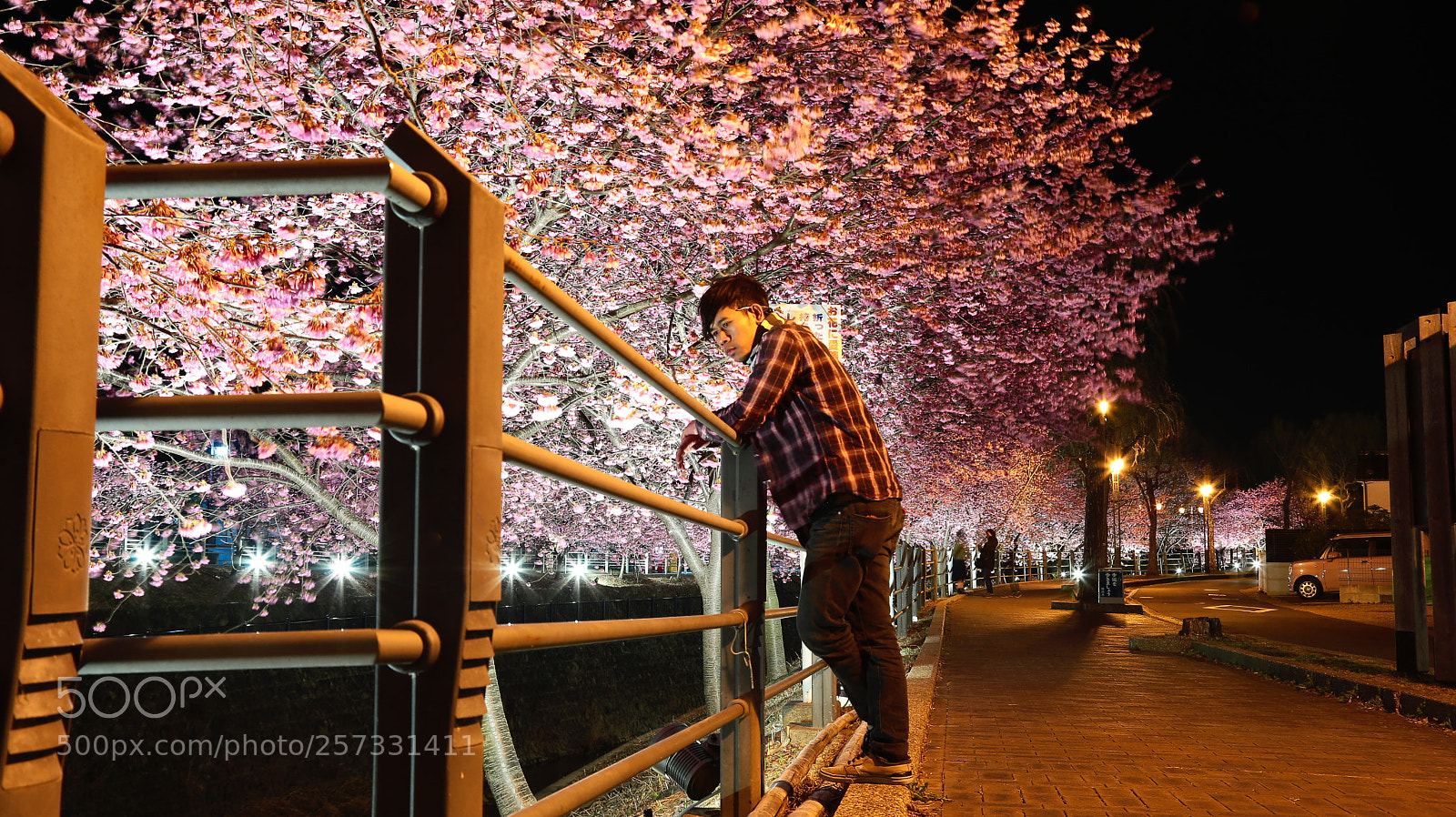 Canon EOS 6D + Canon EF 24-105mm F4L IS USM sample photo. Season of love photography