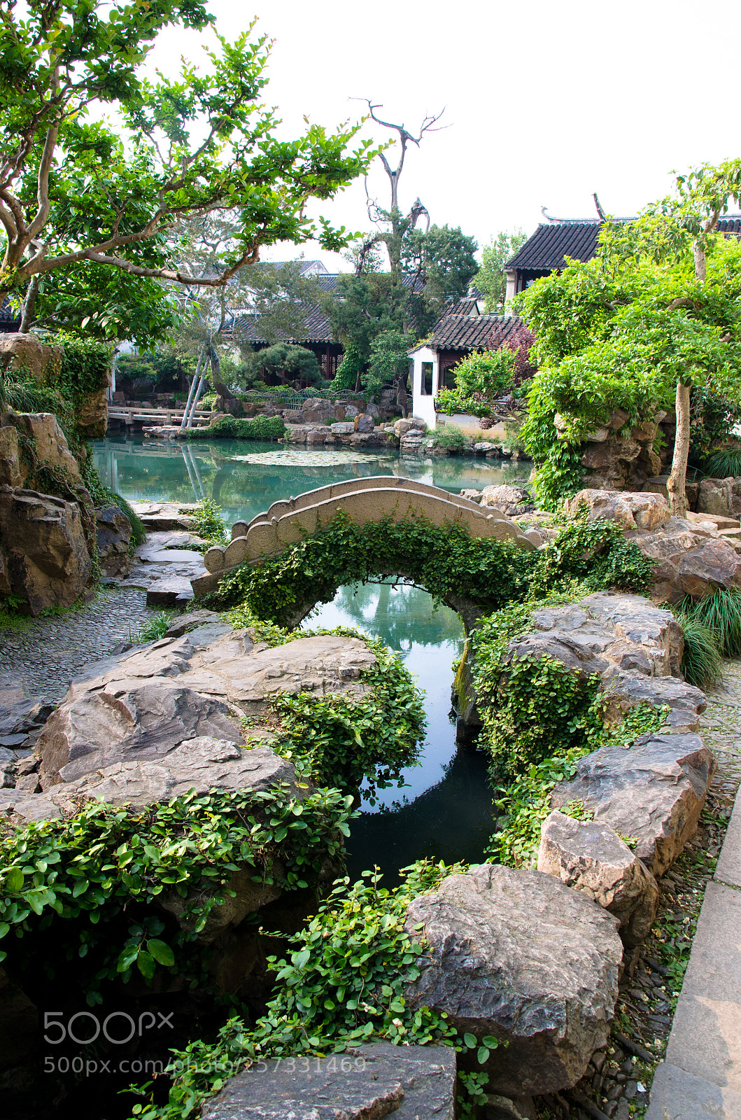 Nikon D5100 sample photo. The shortest bridge photography