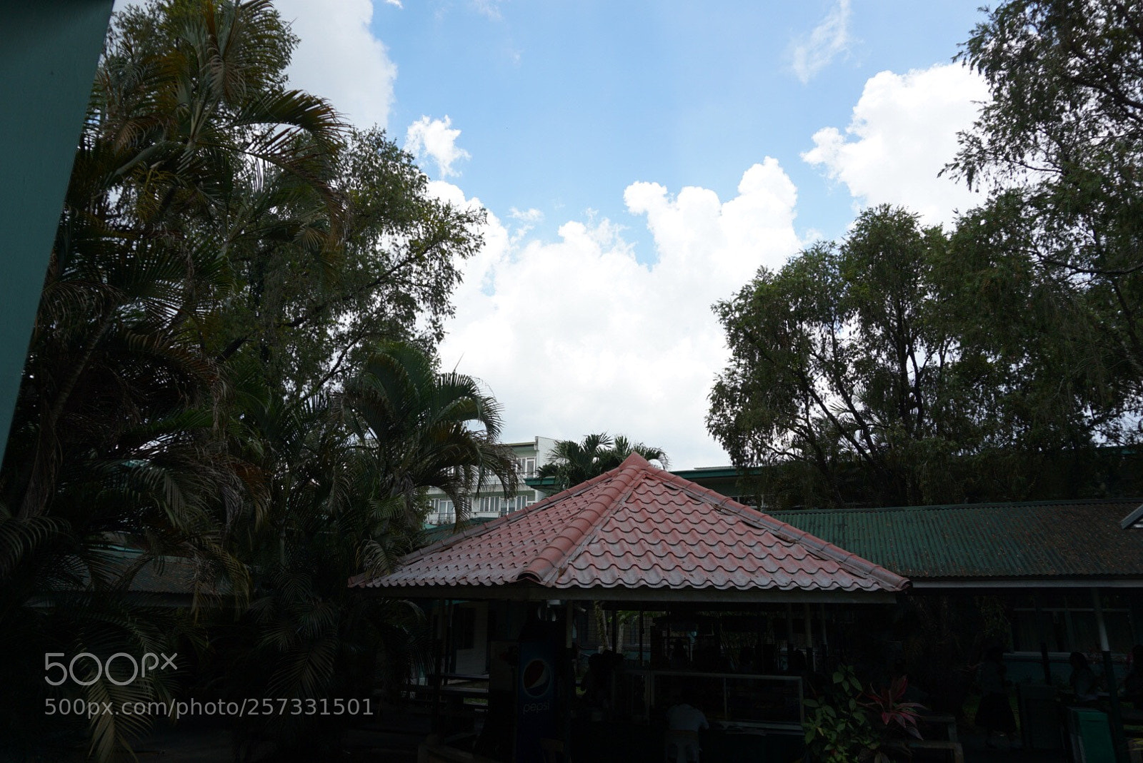 Sony a5100 sample photo. Untitled photography