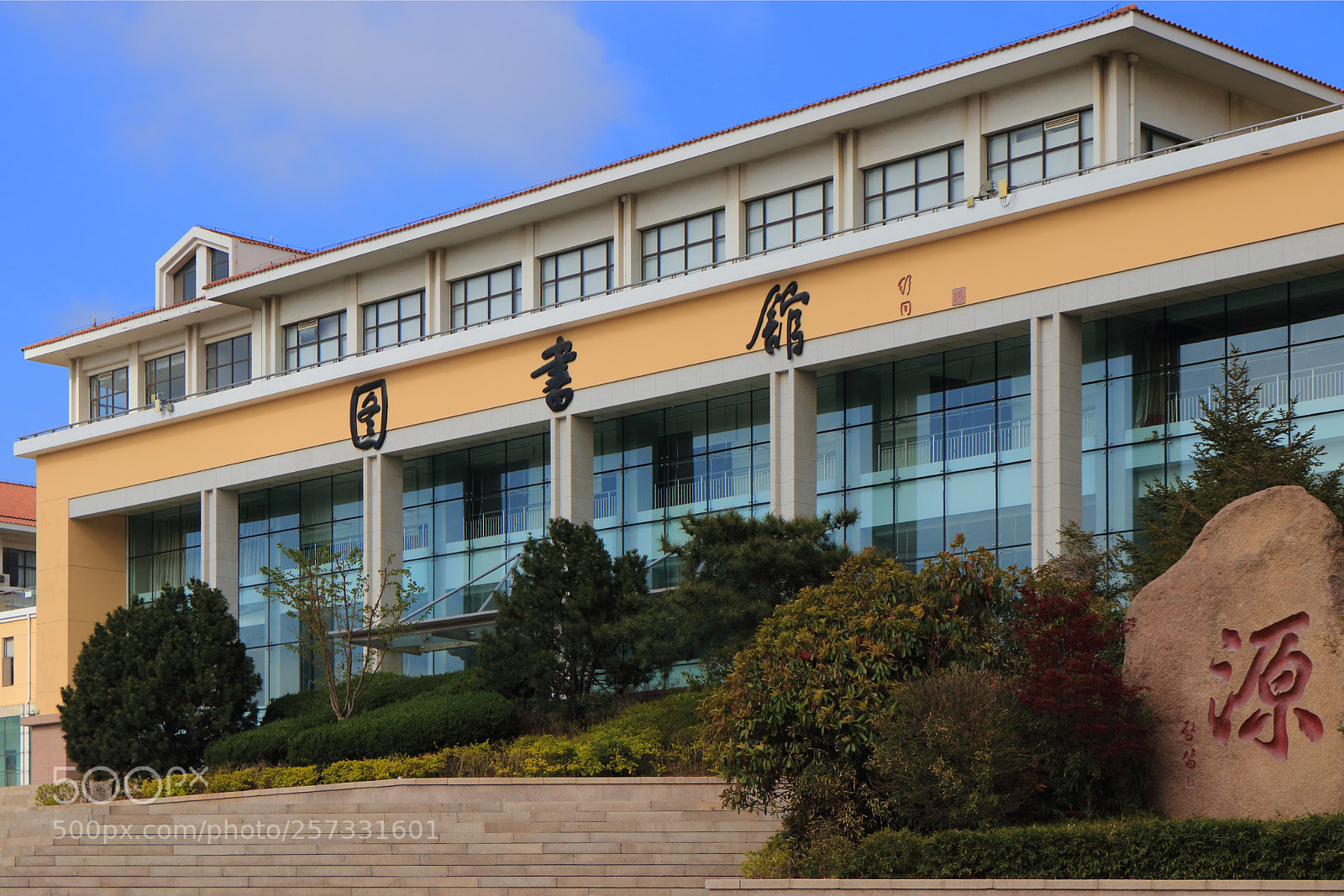 Canon EOS 80D sample photo. Library photography