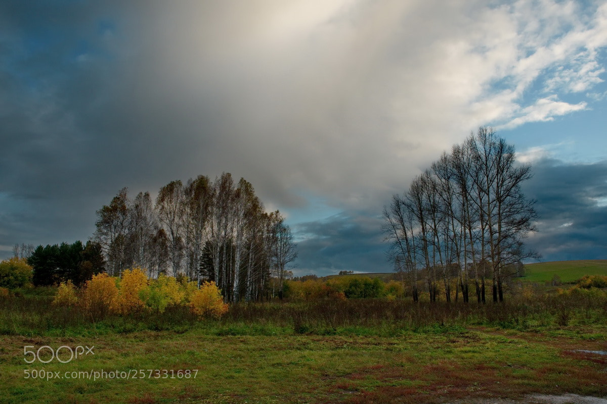 Fujifilm X-T1 sample photo. Russia. autumn weather on photography