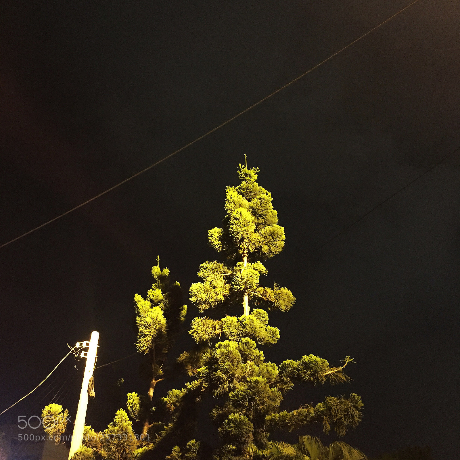Apple iPhone 6 sample photo. Night with tree photography