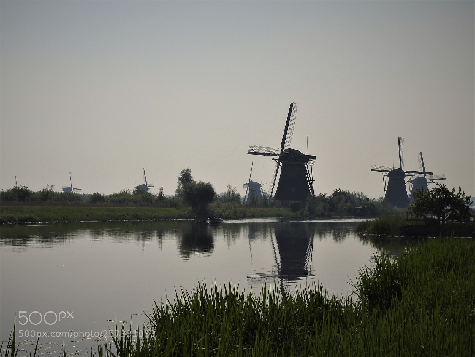 Nikon Coolpix P900 sample photo. Some of the windmills photography