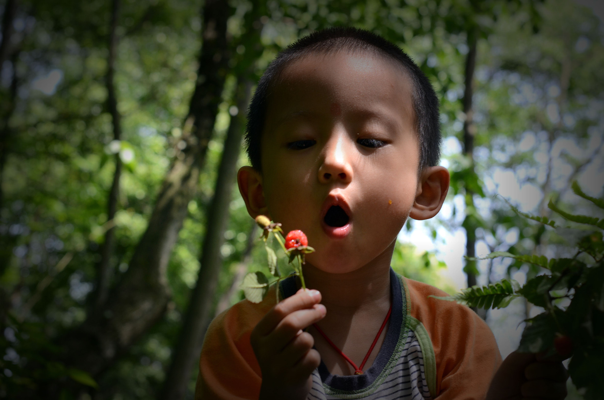 Nikon D7000 + Nikon AF-S Nikkor 50mm F1.4G sample photo. 诱 photography