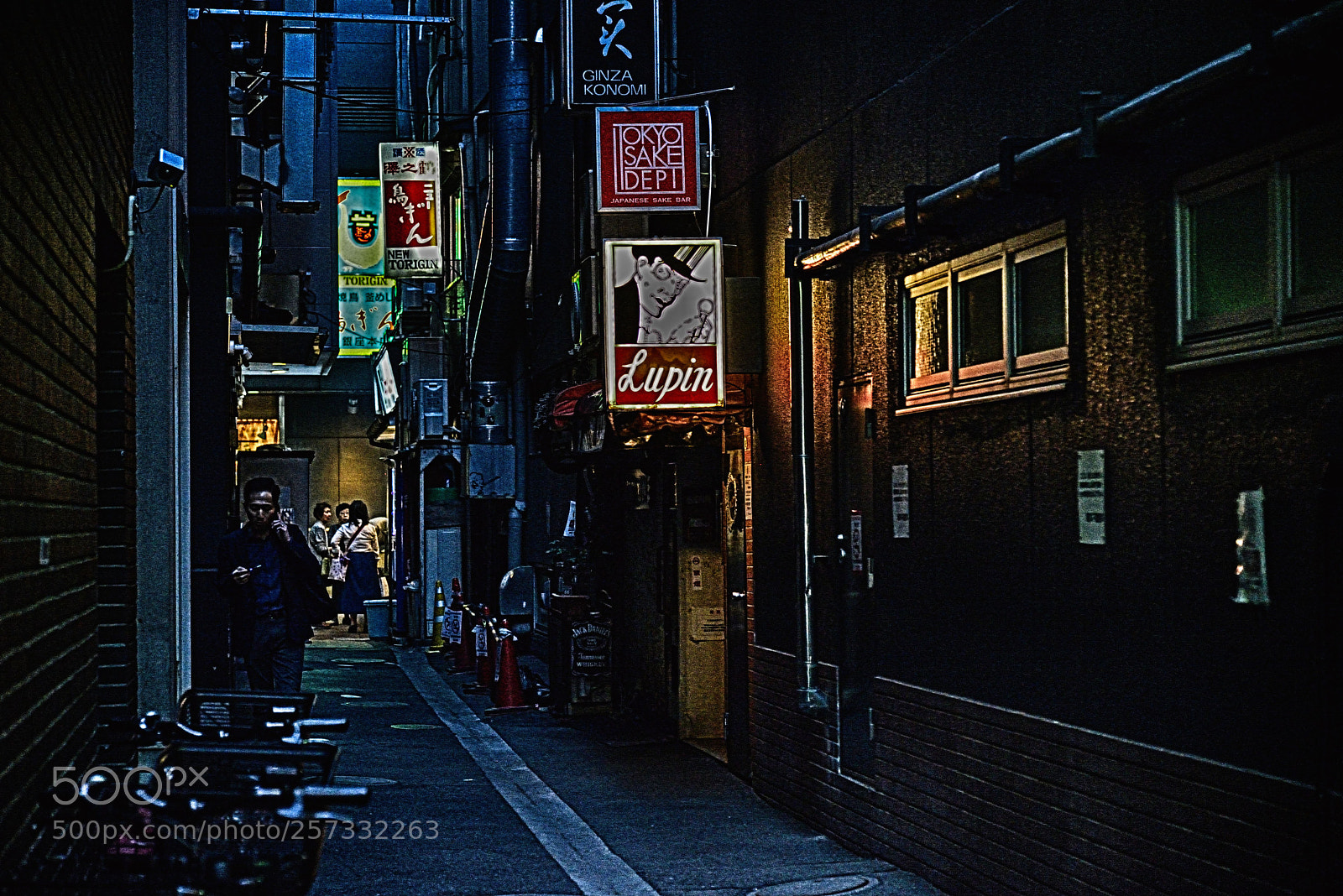 Nikon D600 sample photo. Lupin photography