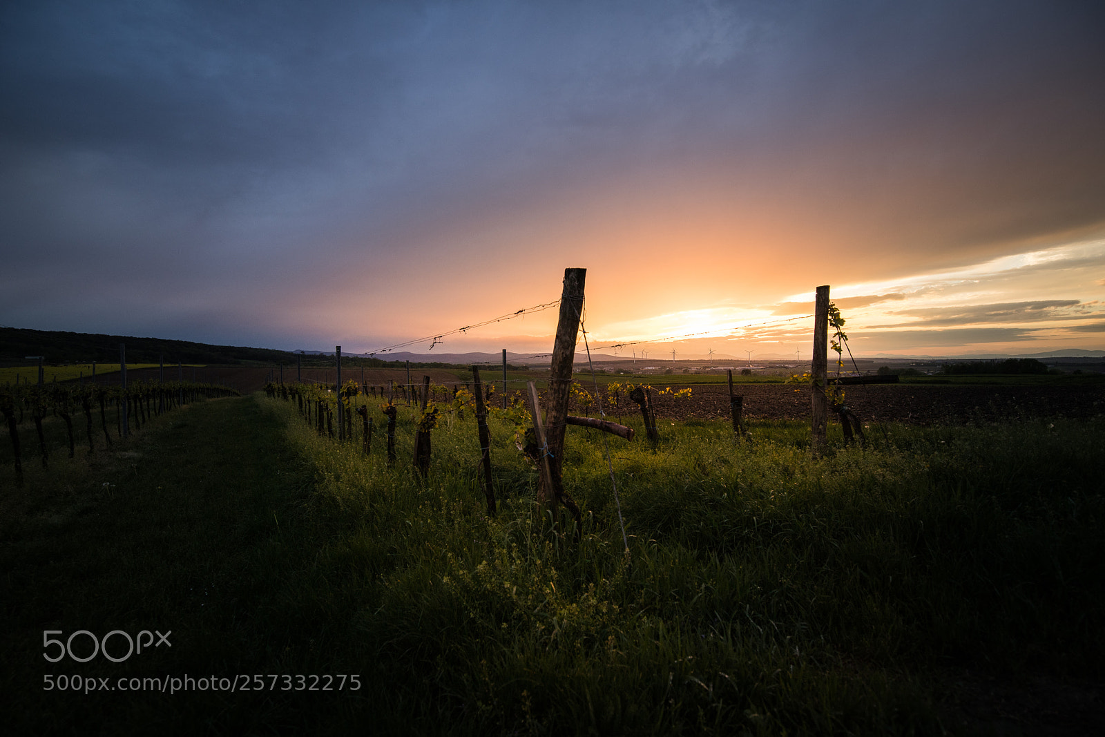 Canon EOS 6D Mark II sample photo. Gu terweg sto ttera photography