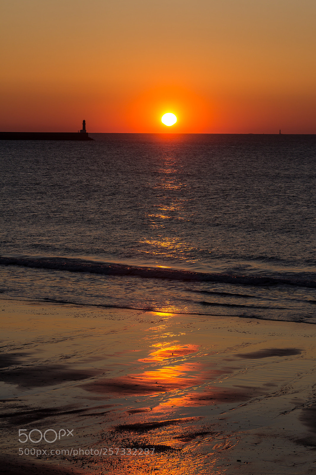 Canon EOS 60D sample photo. Pen bron photography