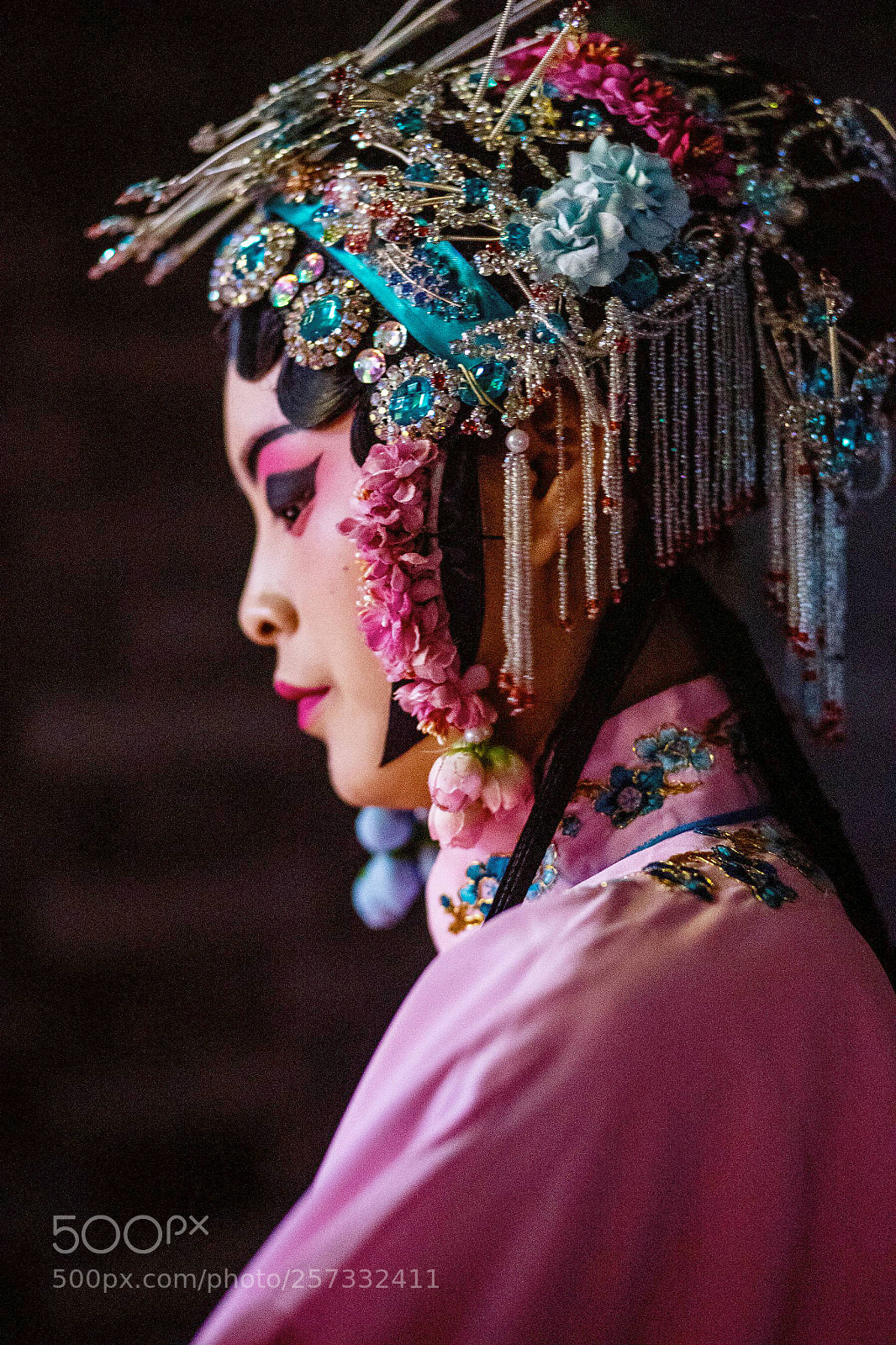 Sony a7 II sample photo. Imperial concubine/贵妃 photography