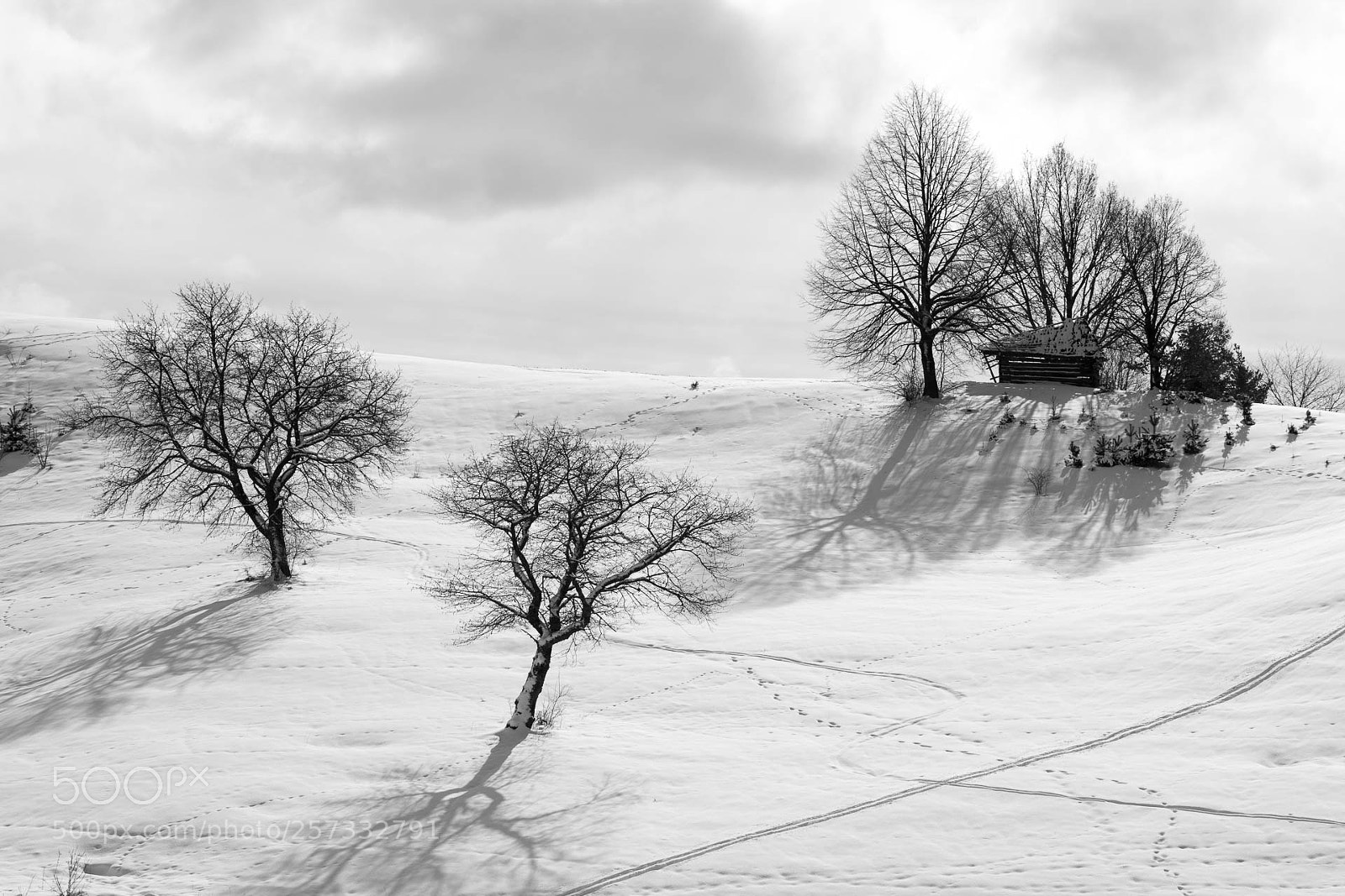 Canon EOS 77D (EOS 9000D / EOS 770D) sample photo. Winter in carpathians 1 photography