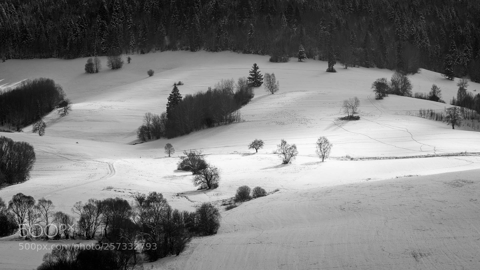 Canon EOS 77D (EOS 9000D / EOS 770D) sample photo. Winter in carpathians 2 photography