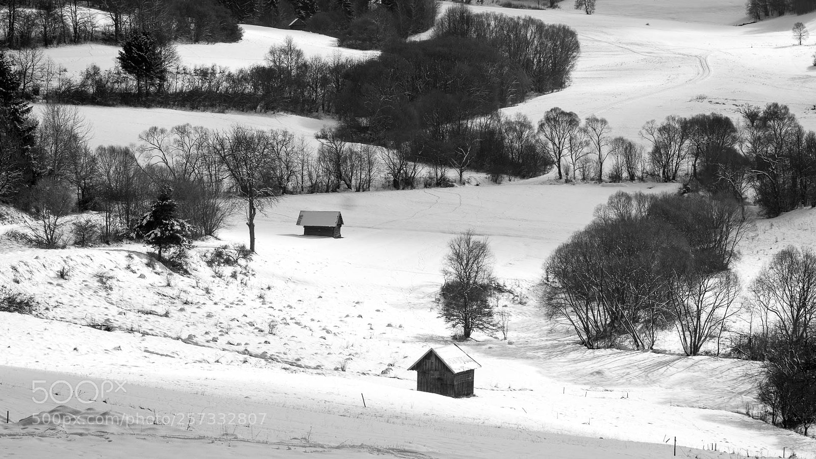 Canon EOS 77D (EOS 9000D / EOS 770D) sample photo. Winter in carpathians 3 photography