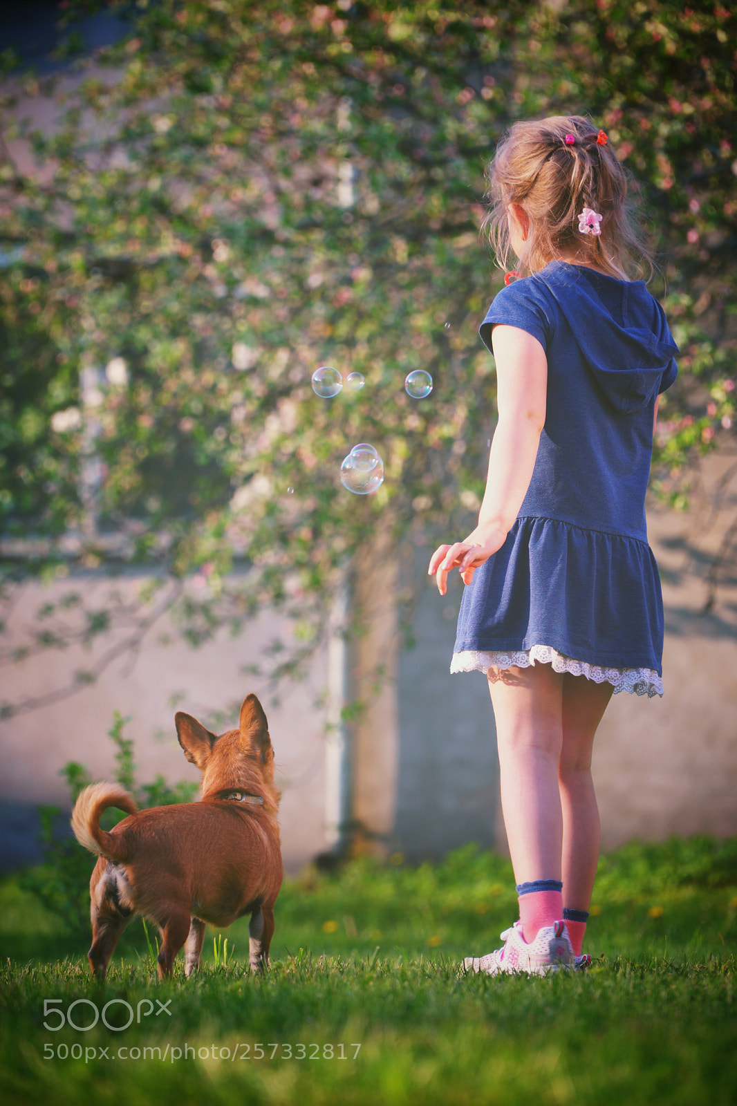 Sony a6300 sample photo. Playing together photography