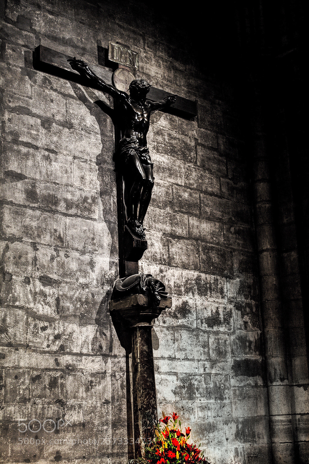 Nikon D3100 sample photo. Untitled photography